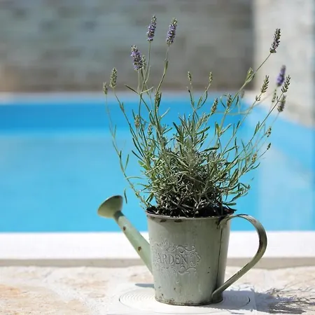 בית נופש Rural With Heated Pool Rastane Donje Rastane